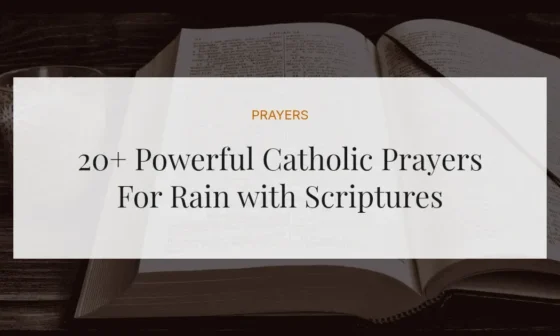 20+ Powerful Catholic Prayers For Rain with Scriptures
